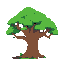 huge living tree