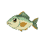 a small minnow fish, no background