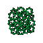 thorny vines