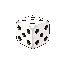 dice