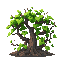 the thorny vines 