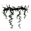 thorny vines growing from below