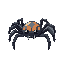 spider