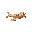 wooden airplane