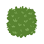 grass . no outline no shading