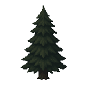 fir tree. dark . no outline