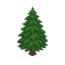 cedar tree. no outline . flat color