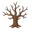 leafless tree