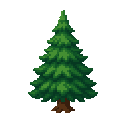 fir tree. no outline