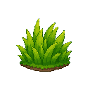 grass