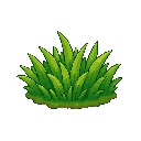 grass
