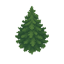 cedar tree. no outline . flat color
