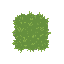 grass . no outline no shading
