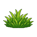 grass