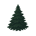 fir tree. dark . no outline. flat color 