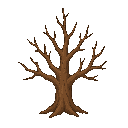 leafless tree