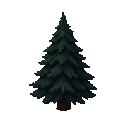 fir tree. dark . no outline
