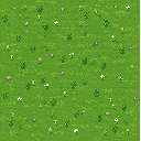 grass ( top down view )