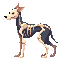 skeleton dog. side view . no outline