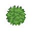 bush . no outline no shading
