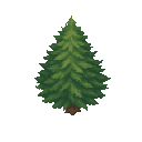 cedar tree. no outline . flat color