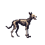 realistic skeleton zombie dog. side view . no outline