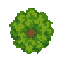 tree  . no outline no shading