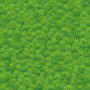 grass ( top down view )no flower noooo