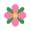 flower  .front view no outline no shading