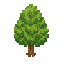 tree  .front view no outline no shading