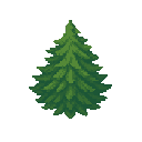 cedar tree. no outline . flat color