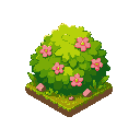 bush, flower 