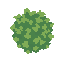 bush . no outline no shading
