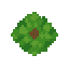 tree  . no outline no shading