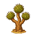 desert three