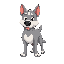 grey dog