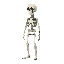 skeleton in idle, walk, jamp . 