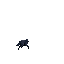 a wolf in a forest at night following a deer