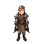rpg character paladin