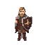 rpg character paladin with shield