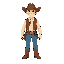 cowboy