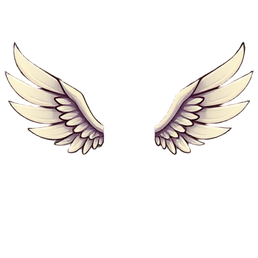 wings 