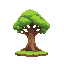 big tree