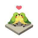 pair of lovebirds