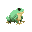 frog skin material