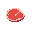 raw animal meat