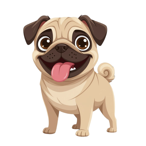 pug dog standing with its tongue out.
