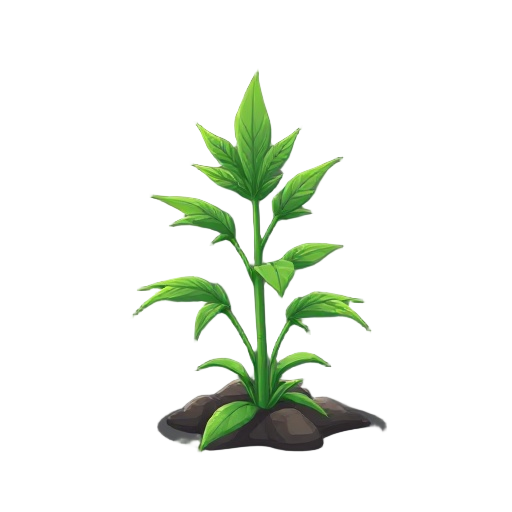 weed plant