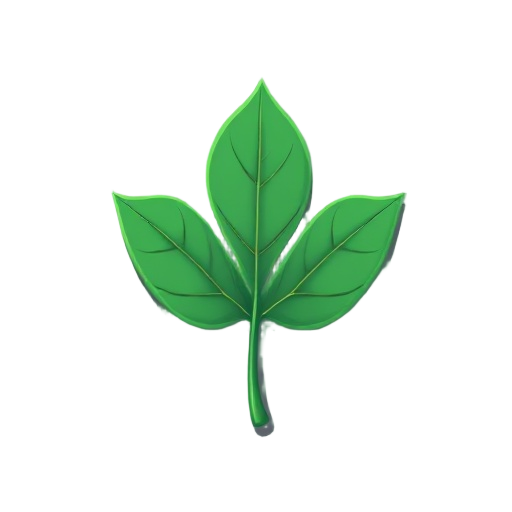 a leaf
