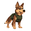 create a dog in a bulletproof vest, it should be a shepherd